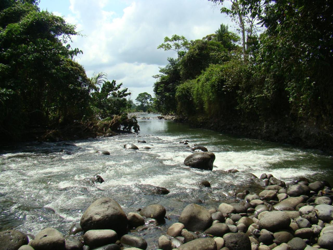 Horquetas River Lodge Sarapiquí Extérieur photo