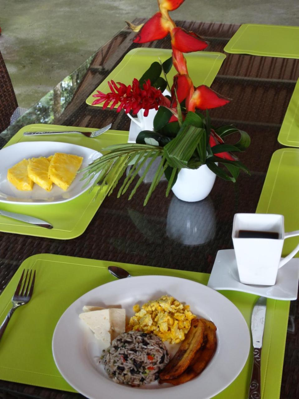 Horquetas River Lodge Sarapiquí Extérieur photo