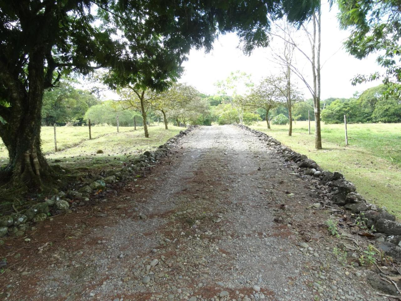 Horquetas River Lodge Sarapiquí Extérieur photo