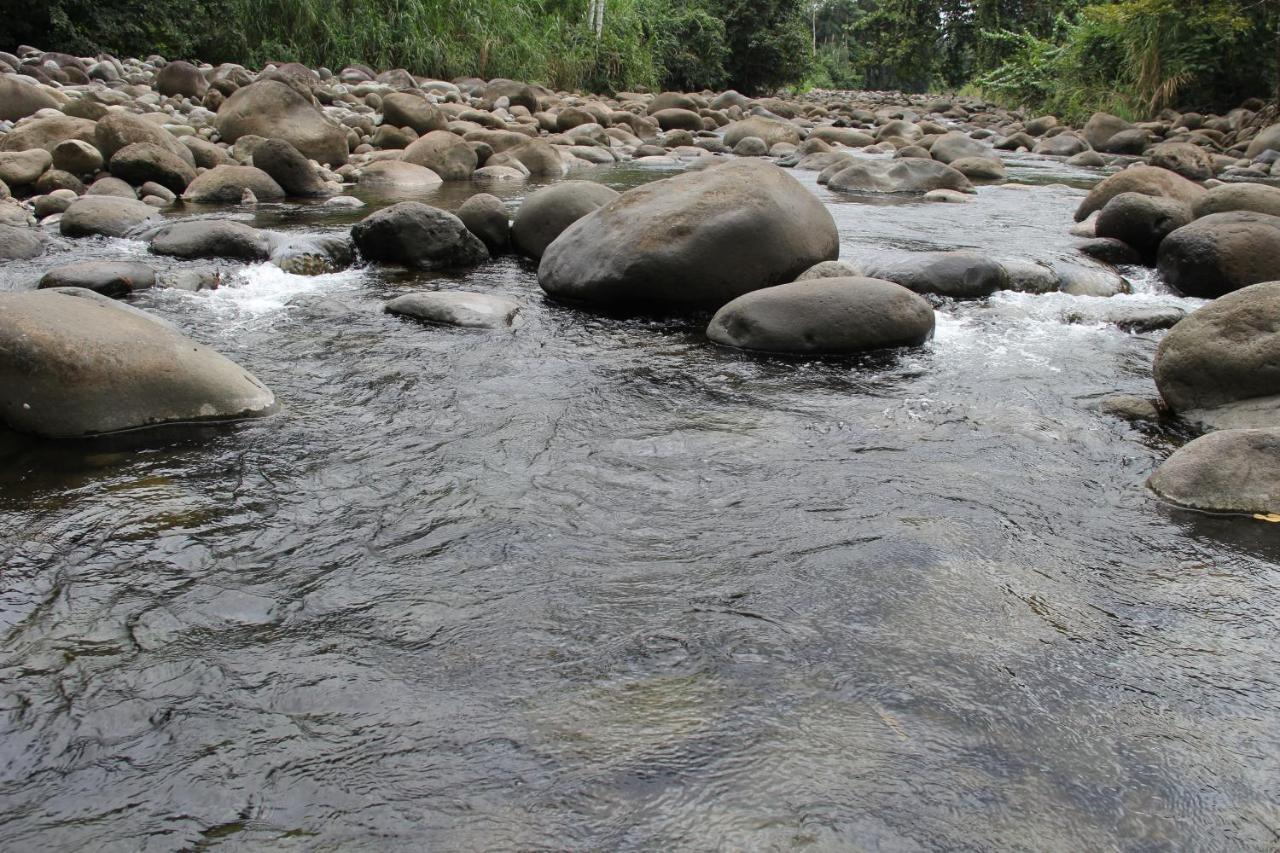 Horquetas River Lodge Sarapiquí Extérieur photo
