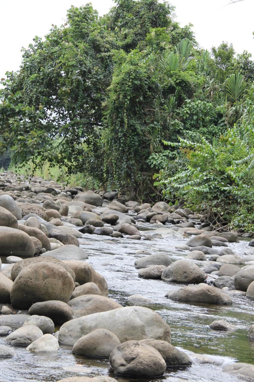 Horquetas River Lodge Sarapiquí Extérieur photo
