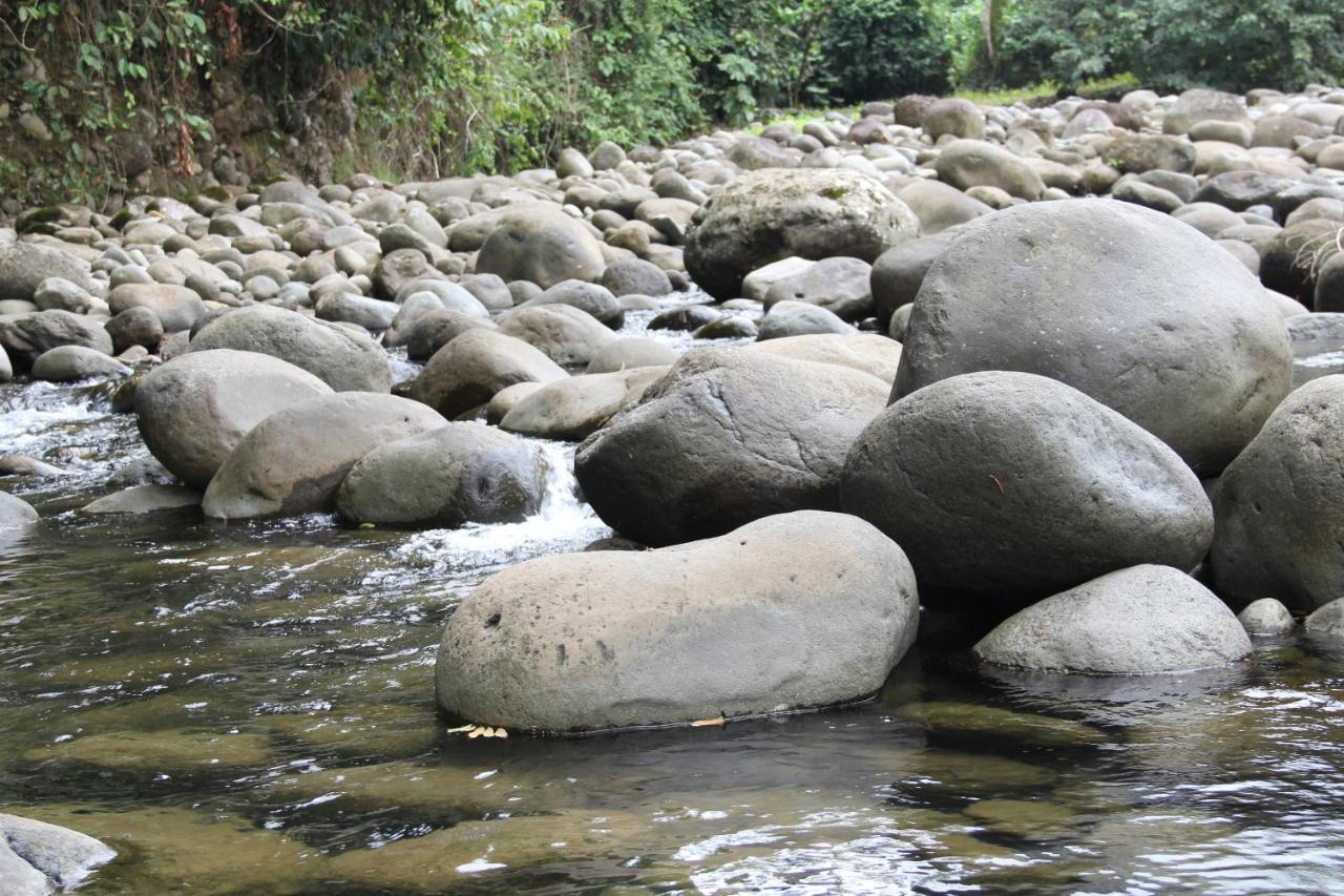 Horquetas River Lodge Sarapiquí Extérieur photo